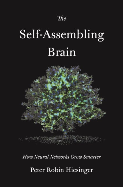 The Self-Assembling Brain - How Neural Networks Grow Smarter