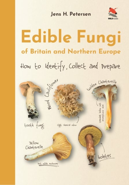 Edible Fungi of Britain and Northern Europe - How to Identify, Collect and Prepare