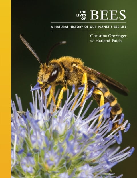 The Lives of Bees - A Natural History of Our Planet's Bee Life