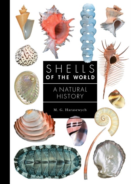 Shells of the World - A Natural History