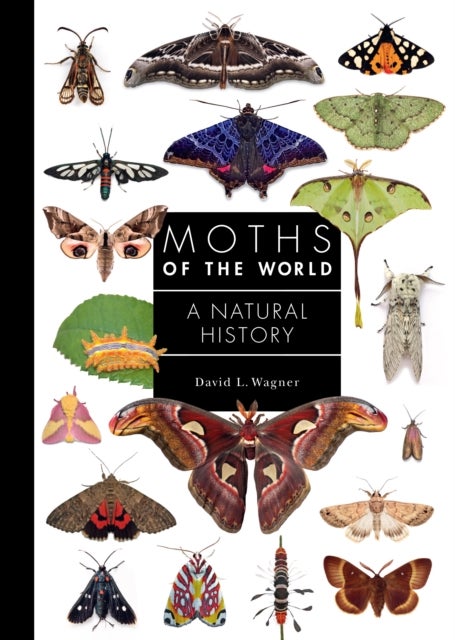 Moths of the World - A Natural History
