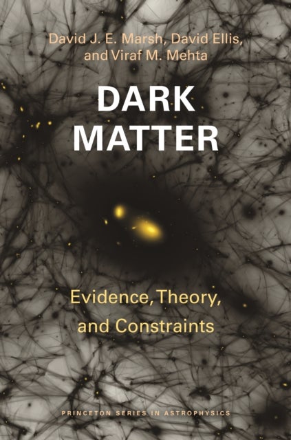 Dark Matter - Evidence, Theory, and Constraints