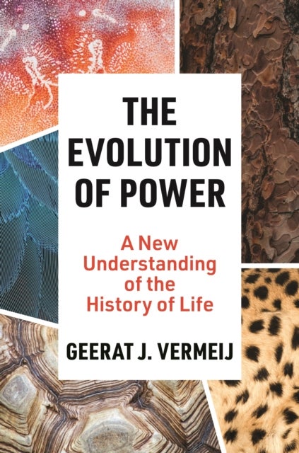 The Evolution of Power - A New Understanding of the History of Life