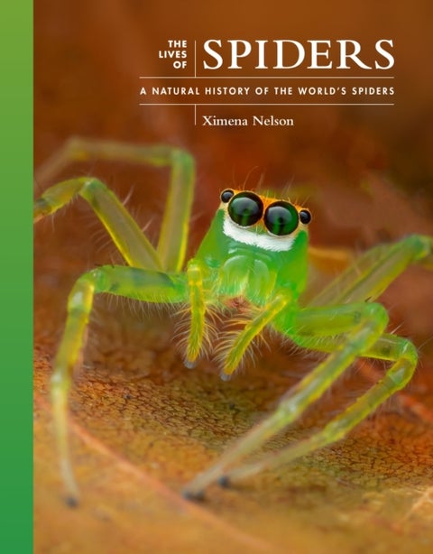 The Lives of Spiders - A Natural History of the World's Spiders