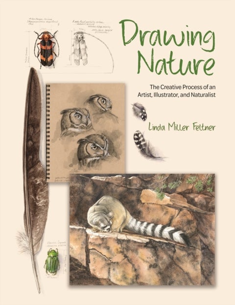 Drawing Nature - The Creative Process of an Artist, Illustrator, and Naturalist