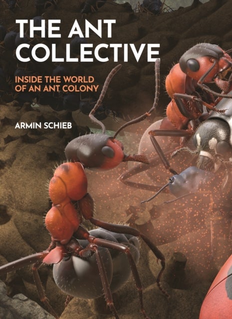 The Ant Collective - Inside the World of an Ant Colony