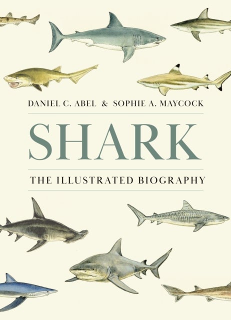 Shark - The Illustrated Biography