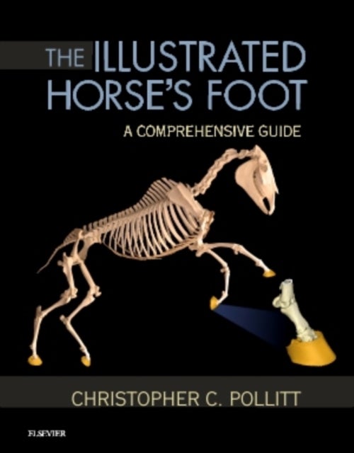 Bilde av The Illustrated Horse&#039;s Foot Av Christopher C. (reader In Equine Medicine Department Of Companion Animal Sciences School Of Veterinary Medicine)
