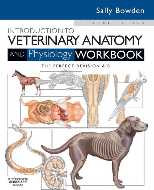 Bilde av Introduction To Veterinary Anatomy And Physiology Workbook Av Sally J. Vn (lecturer In Veterinary Nursing And Animal Science) Bowden