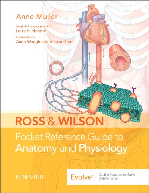 Bilde av Ross &amp; Wilson Pocket Reference Guide To Anatomy And Physiology Av Anne (nurse Senior Health Executive Doctor Of Educational Sciences And Instructo