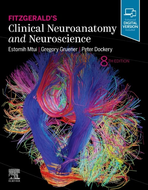 Bilde av Fitzgerald&#039;s Clinical Neuroanatomy And Neuroscience Av Estomih (associate Professor Of Clinical Anatomy In Neurology And Neuroscience Director Pr