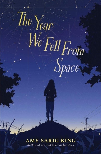 The Year We Fell From Space av Amy Sarig King