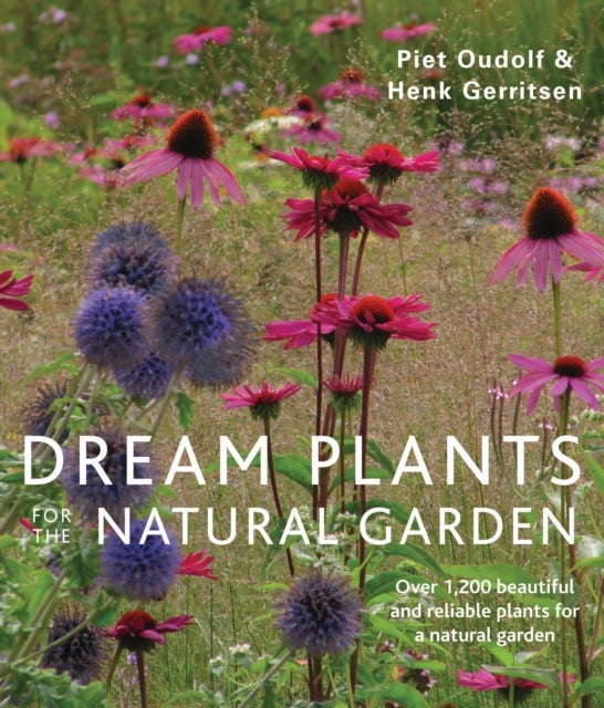 Bilde av Dream Plants For The Natural Garden Av Piet Oudolf, Henk Gerritsen