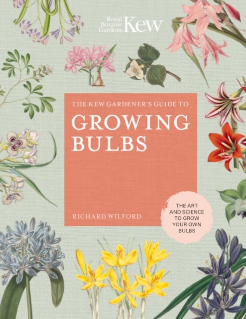 Bilde av The Kew Gardener&#039;s Guide To Growing Bulbs Av Richard Wilford, Kew Royal Botanic Gardens