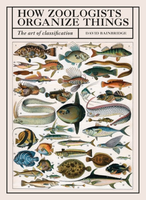 How Zoologists Organize Things - The Art of Classification