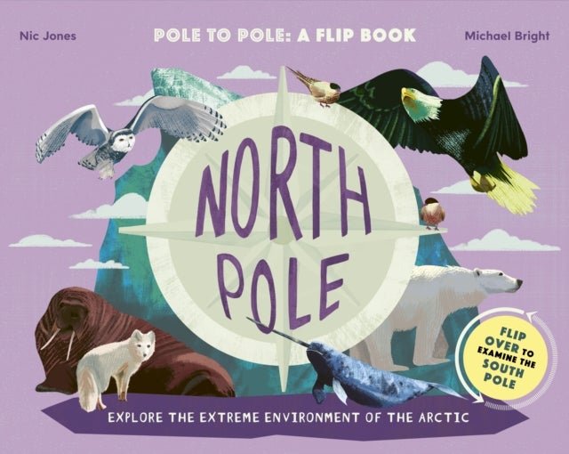 Bilde av North Pole / South Pole Av Michael Bright