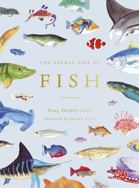 Bilde av The Secret Life Of Fish Av Doug Mackay-hope