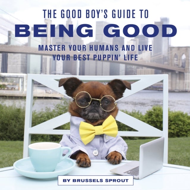 Bilde av The Good Boy&#039;s Guide To Being Good Av Brussels Sprout