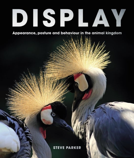 Display - Appearance, posture and behaviour in the animal kingdom