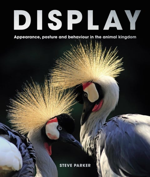 Display - Appearance, posture and behaviour in the animal kingdom