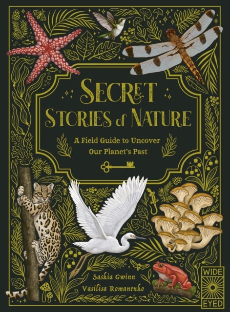 Secret Stories of Nature - A Field Guide to Uncover Our Planet's Past