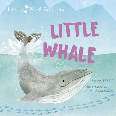 Little Whale - A Day in the Life of a Whale Calf