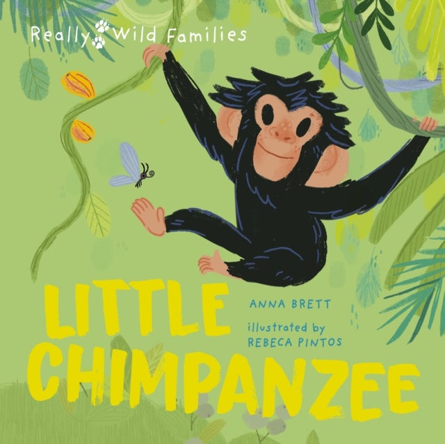 Bilde av Little Chimpanzee Av Anna Brett