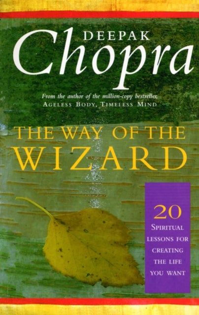 The Way Of The Wizard - 20 Lessons for Living a Magical Life
