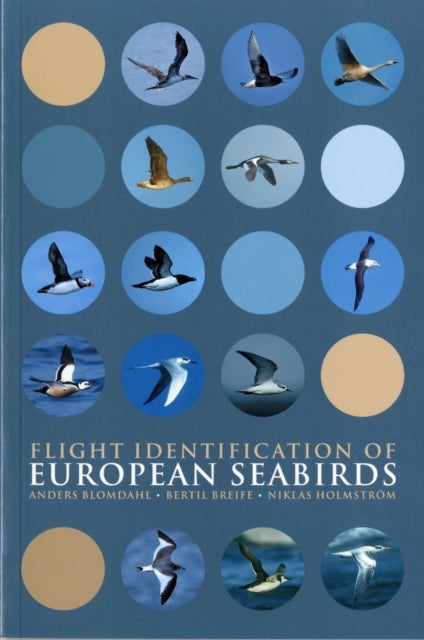 Bilde av Flight Identification Of European Seabirds Av Anders Blomdahl, Bertil Breife, Niklas Holmstrom