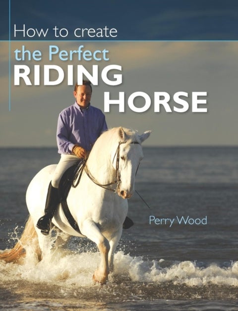 How to Create the Perfect Riding Horse