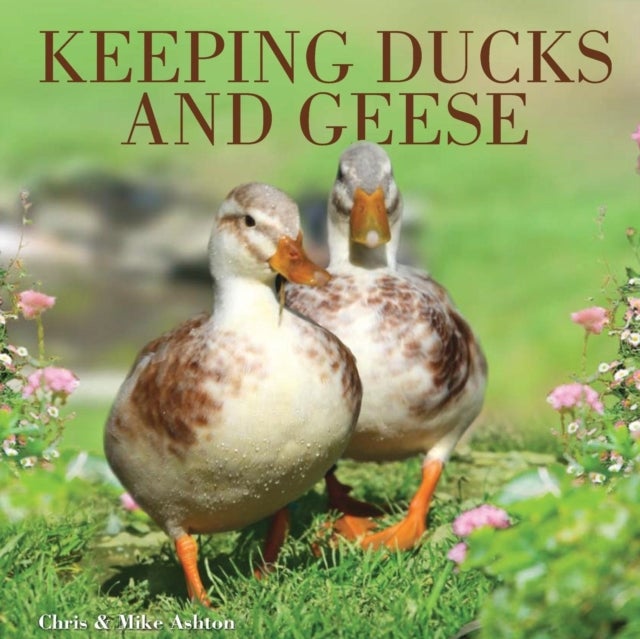 Bilde av Keeping Ducks And Geese Av Chris And Mike Ashton, Mike Ashton