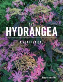 The Hydrangea - A Reappraisal