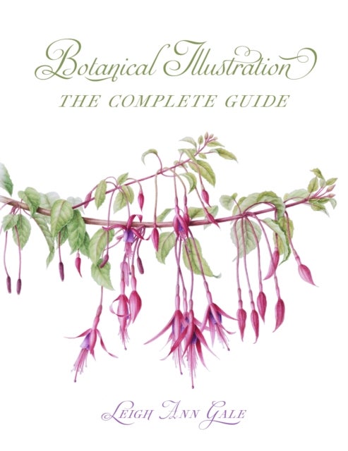 Botanical Illustration - The Complete Guide
