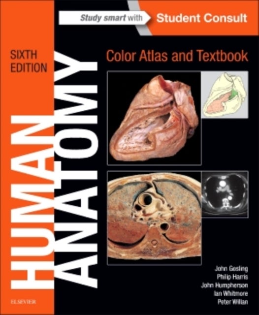 Bilde av Human Anatomy, Color Atlas And Textbook Av John A. (professor Of Anatomy Stanford University Usa) Gosling, Philip F. Md Mb Chb Msc (emeritus Professor
