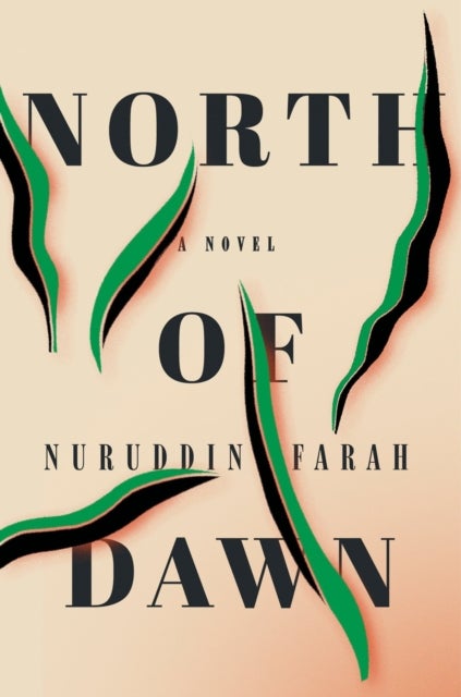 North of dawn - a novel