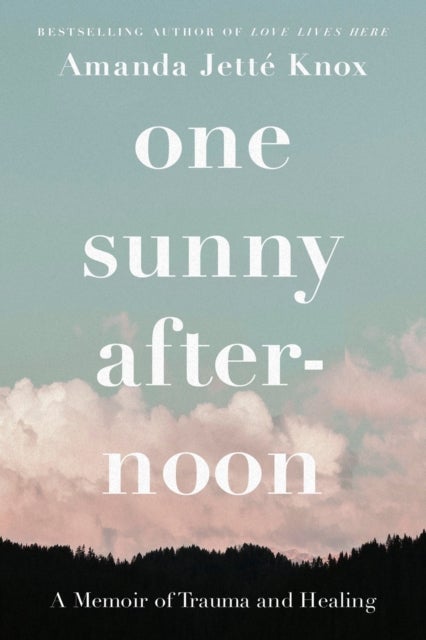 One Sunny Afternoon - A Memoir of Trauma and Healing