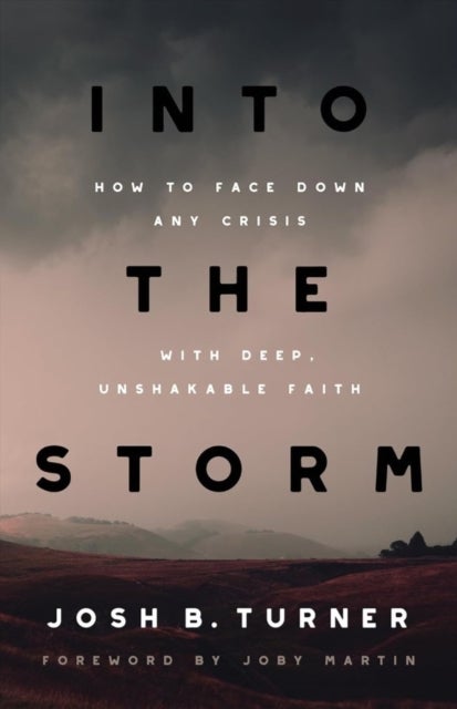 Into the Storm - How to Face Down Any Crisis with Deep, Unshakable Faith