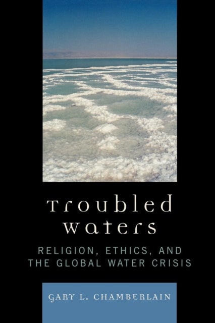Troubled Waters - Religion, Ethics, and the Global Water Crisis