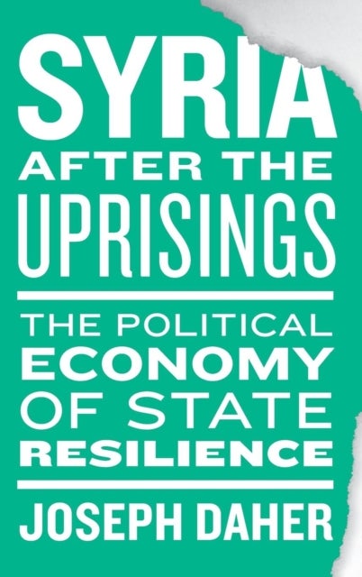 Syria after the Uprisings - The Political Economy of State Resilience