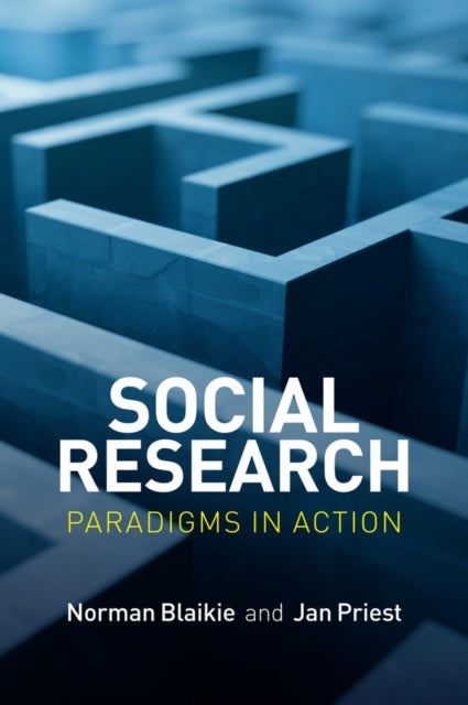 Social Research - Paradigms in Action