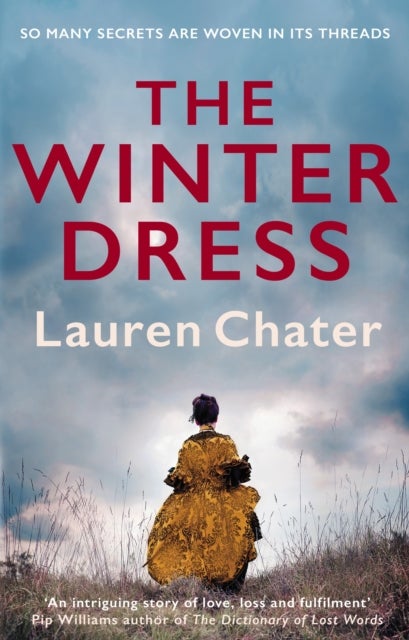 The Winter Dress - Two women separated by centuries drawn together by one beautiful silk dress