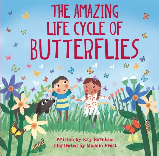 Bilde av Look And Wonder: The Amazing Life Cycle Of Butterflies Av Kay Barnham
