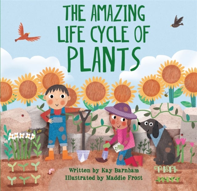 Bilde av Look And Wonder: The Amazing Plant Life Cycle Story Av Kay Barnham