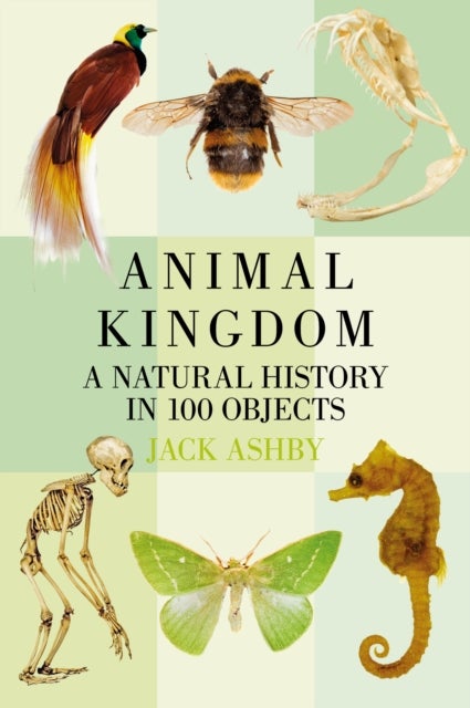 Animal Kingdom - A Natural History in 100 Objects