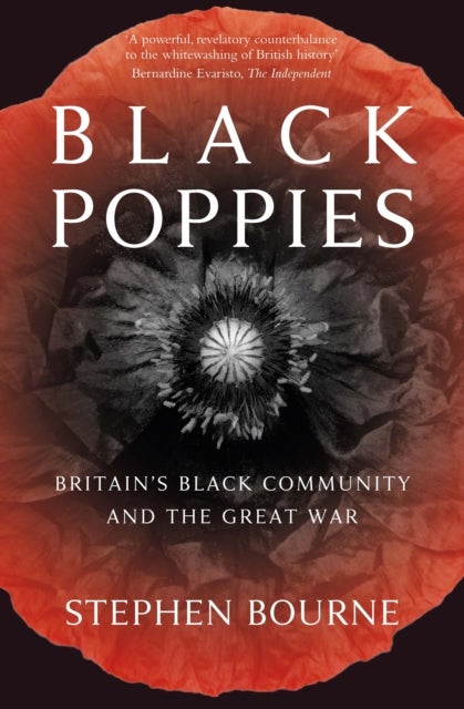 Bilde av Black Poppies Av Stephen Bourne