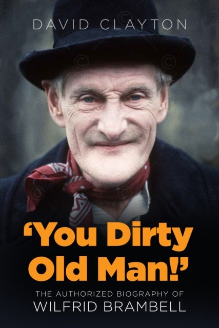 Bilde av &#039;you Dirty Old Man!&#039; Av David Clayton