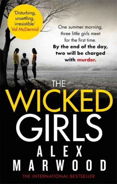 The Wicked Girls - An absolutely gripping, ripped-from-the-headlines psychological thriller