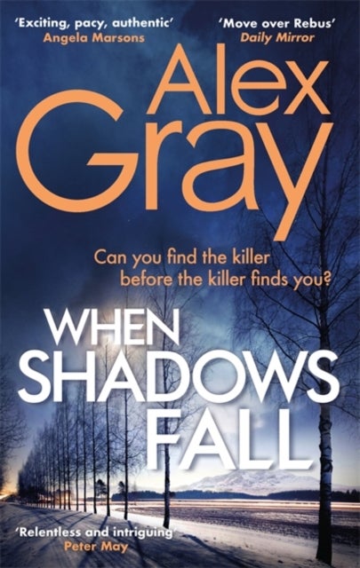 When Shadows Fall - Book 17 in the Sunday Times bestselling crime series