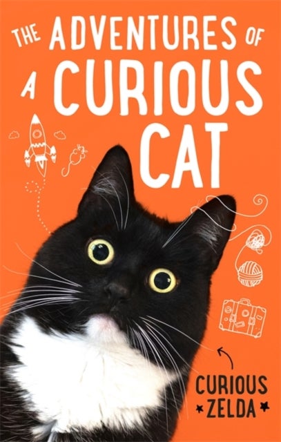 The Adventures of a Curious Cat - wit and wisdom from Curious Zelda, purrfect for cats and their humans