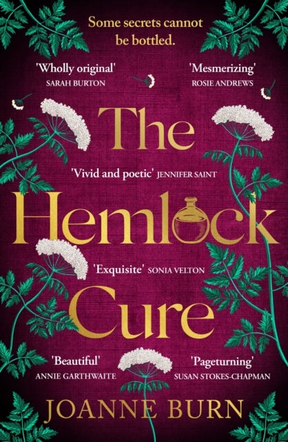 The Hemlock Cure - "A beautifully written story of the women of Eyam" Jennifer Saint, author of ARIADNE